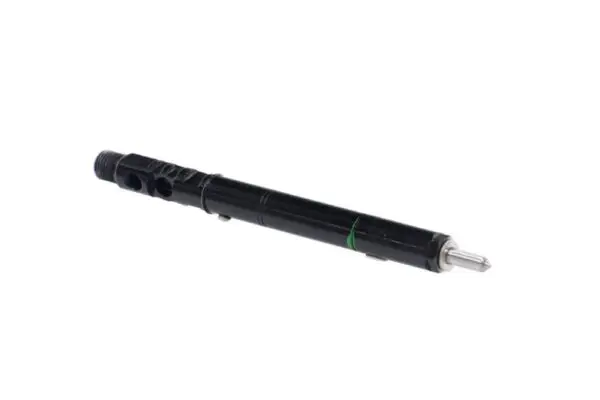 Gereviseerde Delphi Injector EJBR01001Z – CITROEN, SUZUKI