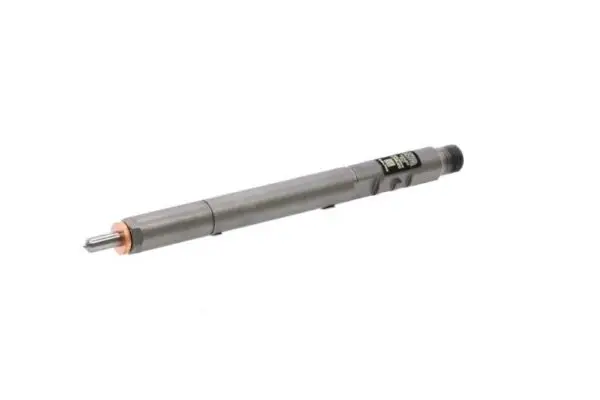 Gereviseerde Delphi Injector EJBR04501D – SSANGYONG
