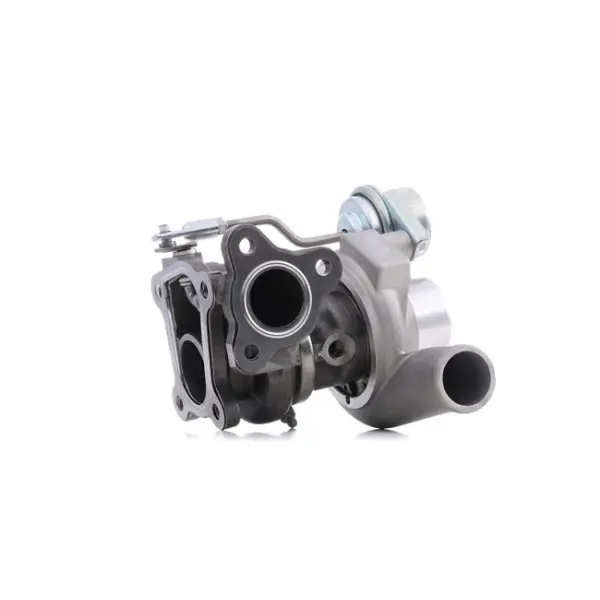 NIEUWE turbo DTS 49173-06503