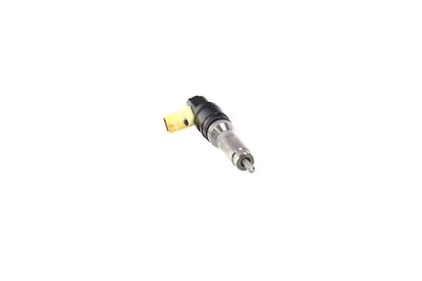 NIEUWE Injector Delphi 1905001