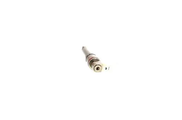 NIEUWE Injector Delphi 1952045